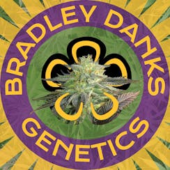 Bradley Danks Genetics logo